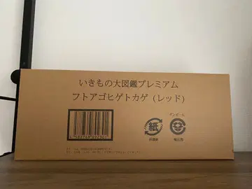 생물대도감 프리미엄 아르거스도마뱀 레드