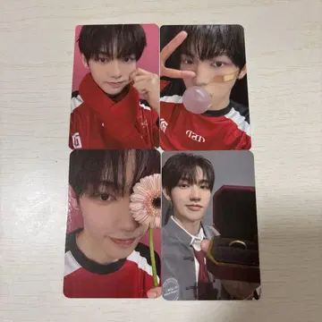 홈 레이스 미트앤그리트 트레이딩 카드 조이 KUJI