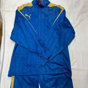 푸마 저지 세트