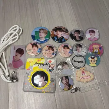 승민 PuppyM 묶음 판매 19점