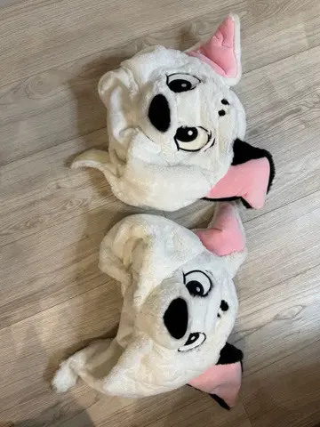 디즈니 팬캡 완스턴 이야기