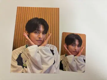 리오 보플 콜렉트북