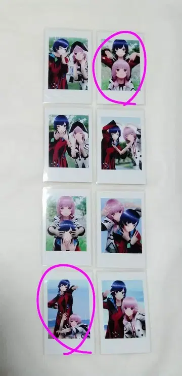 카토 S님 꽃 무리 메 체크 2장