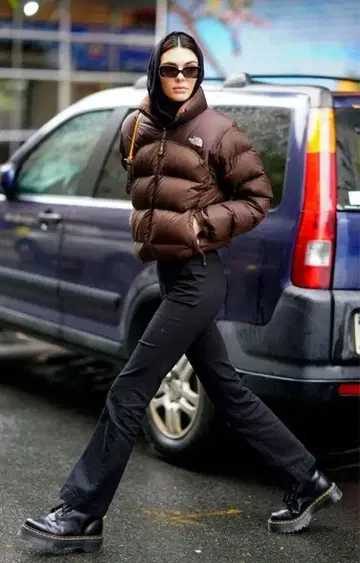 The North Face 700 Puffer Jacket
