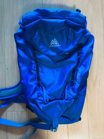 GREGORY 백팩 파랑