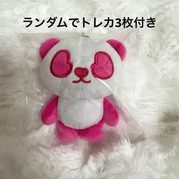 야마다 코다이 리루팬더