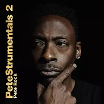 PETE ROCK / PETESTRUMENTALS 2
