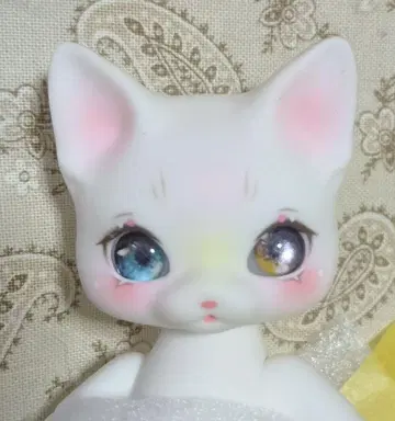 cocoriang Puri 고양이