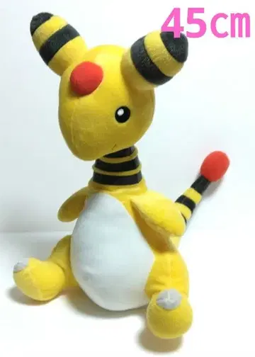 포켓몬 전룡 봉제 인형