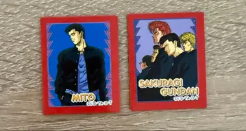 마리오 바가본드 카드 세트