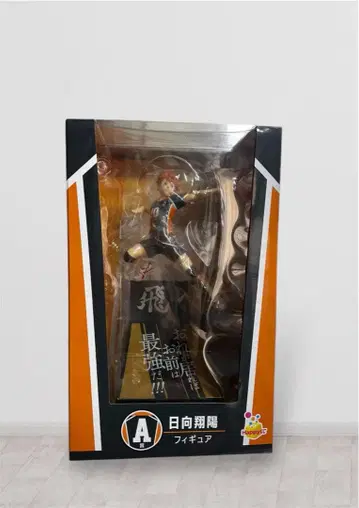 히나타 쇼요 피규어 A상