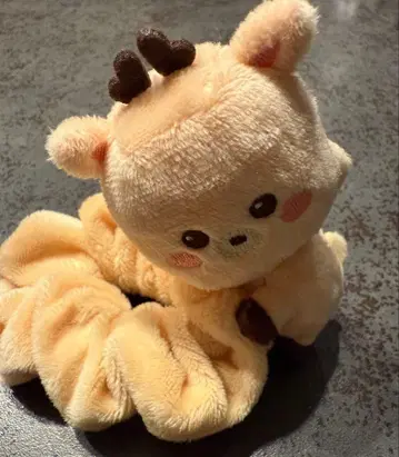 RIIZE 성찬 스크런치 공식 굿즈