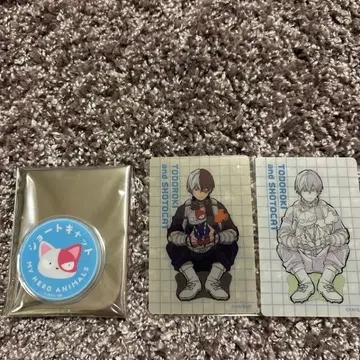 본즈 히로아카 애니멀 마그넷 트레이딩 카드 토도로키 쇼토 숏캣