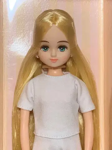 리카짱 캐슬 행사 BASIC 모델 파렛트 F -3 리카짱 프렌드