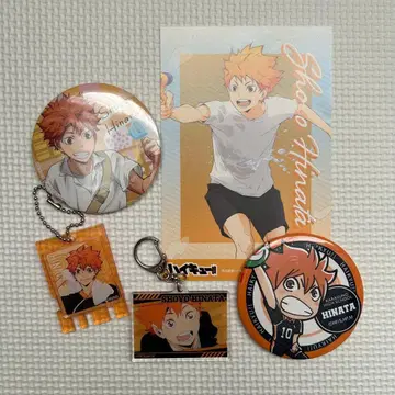 하이큐 히나타 쇼요 굿즈 세트