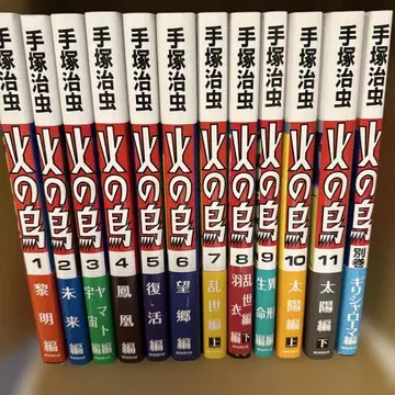 불새 1 ~ 11 별권