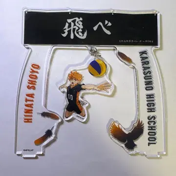 히나타 쇼요 아크릴 스탠드 카라스노 고교