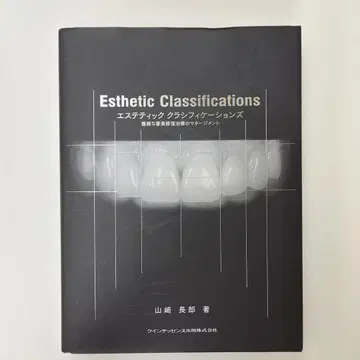 에스테틱 클래시피케이션즈 야마자키 타카로 저