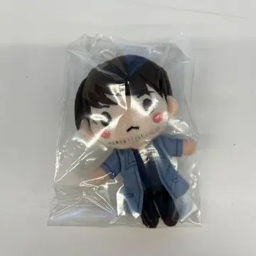 명탐정 코난 세가 럭키 쿠지 G상 봉제인형 마스코트 모로후시 히로미츠