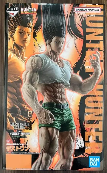 HUNTER x HUNTER 곤 라스트 원상 성장ver