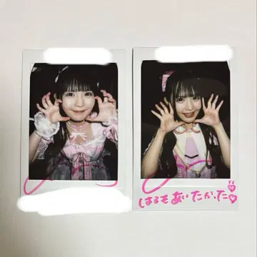 논픽션! 코이호시 하루카 폴라로이드