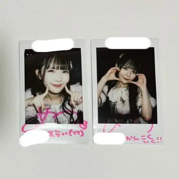 논피쿠! 코이호시 하루카 폴라로이드