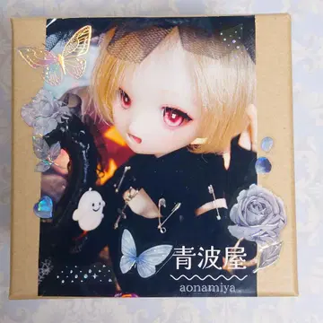 딜러제 DDH-01 SW 스킨 커스텀 헤드+아이 돌피드림