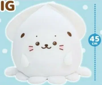 시로땅 바다 생물 시리즈 봉제 인형 BIG 오징어