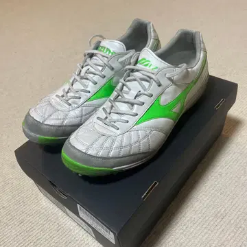 모레리아사라 재팬