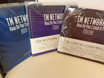 TM NETWORK How Do You Crash It? two