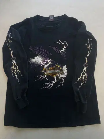 레어! 할리 썬더 롱 T