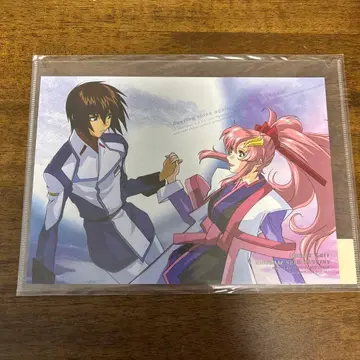 기동전사 건담 SEEDDestiny 키라 라크스 클리어 케이스 B