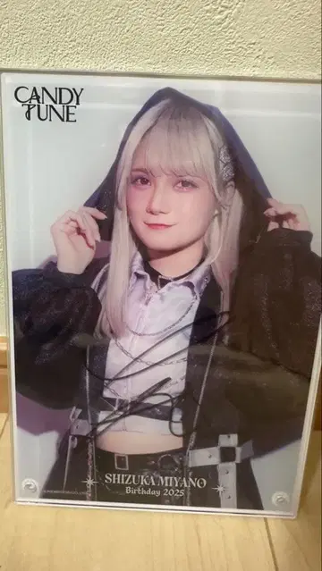 CANDY TUNE 미야노 시즈카 사인 포함 아크릴 사진 패널
