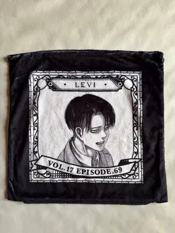 진격의 거인 리바이 쿠션 커버