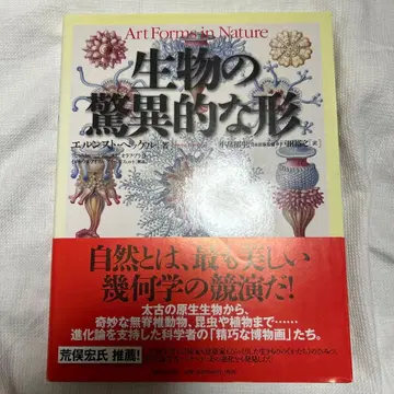 생물의 경이로운 형태 엘른스트 헤켈 저