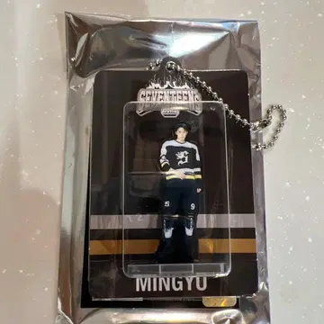 SEVENTEEN 세부치 민규 아크릴 키링 HOME