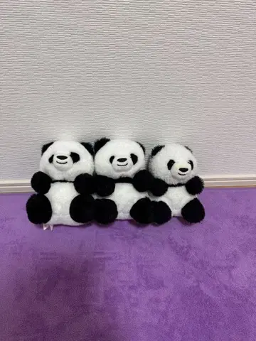 팬더 봉제 인형 3개 세트 어드벤처 월드 팬더 복권