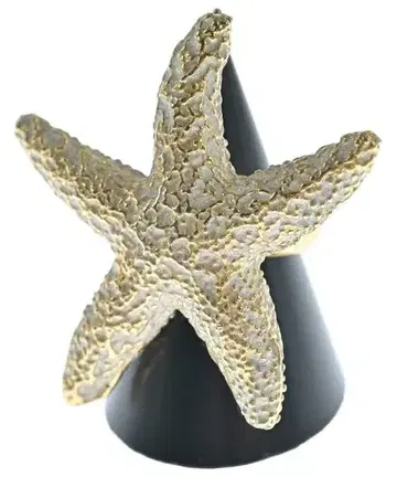 moss mills 여성용 반지