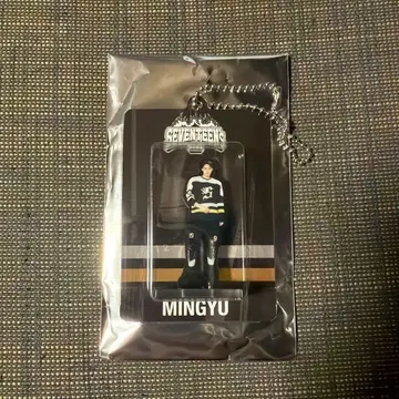 SEVENTEEN 세부치 HOME 아크릴 키링 아크키 민규