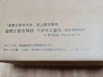 세인트 세이야 페가수스 세이야 Broken Version