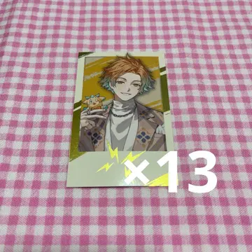 우사미 리토 2주년 폴라로이드 레어 13장 세트