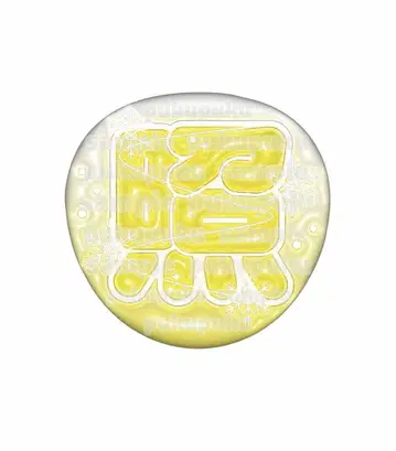 [ 통통 부채 ] SnowMan 이와모토 히카루