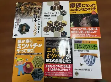 일본 꿀벌 도서 6권