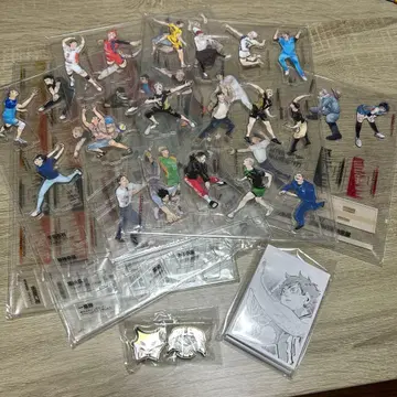 하이큐 크로니클