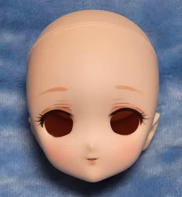 MDD 헤드 보크스 드림 초이스 한정판 메이크업 돌피드림