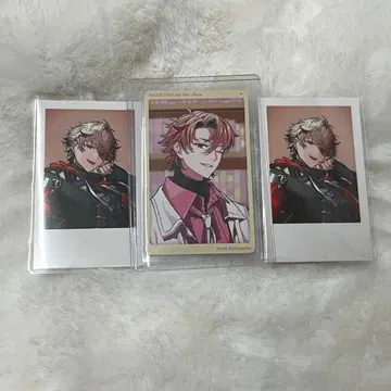 세라프 더즐 가든 폴라로이드