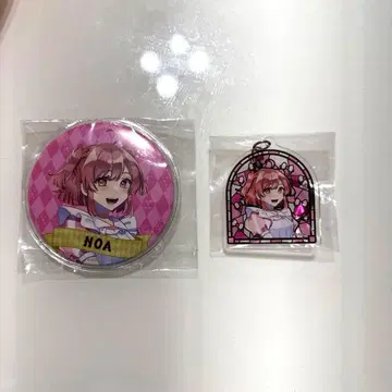 컬러풀 피치 노아 원더랜드