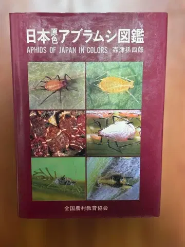 일본 원색 진딧물 도감