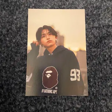 하야마 유키 달력 이벤트 5권권 혜택 엽서