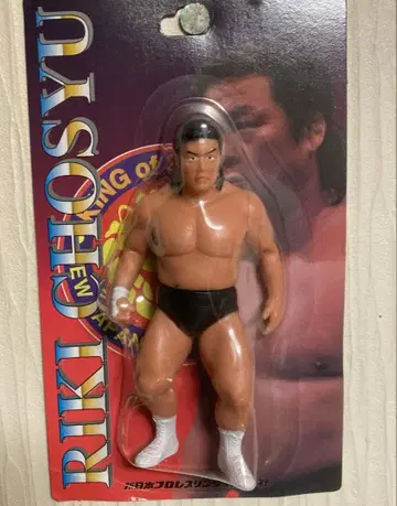 쵸슈 리키 피규어 신일본 프로레슬링 전일본 프로레슬링 혁명 전사